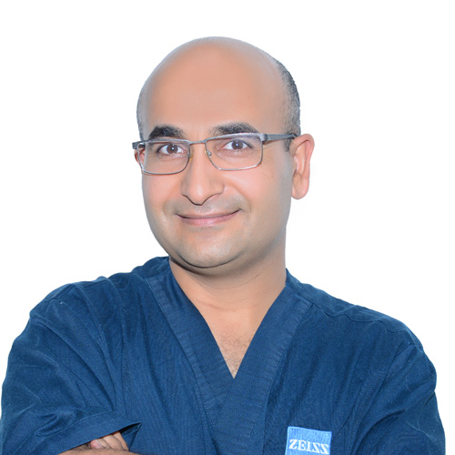 الدكتور فواز عبدالله