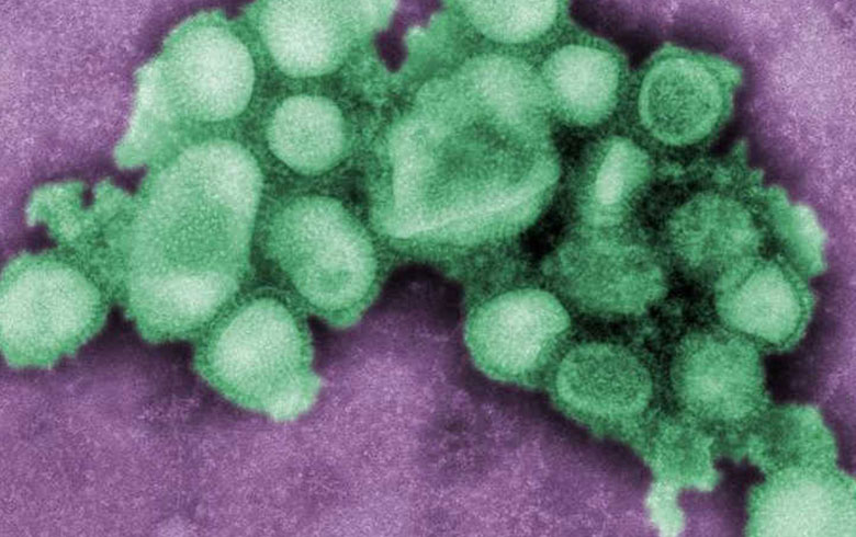 منظمة الصحة تدرس فيروس الإنفلونزا الجديد في الصين